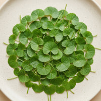 CENTELLA ASIÁTICA