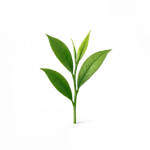 L-teanina
